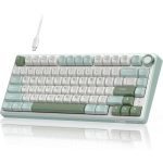 კლავიატურა Royal Kludge RK R75 RGB Mechanical Keyboard, Brown switch, Hot Swappable, Type-C wired, Sky Cyan - Image 2