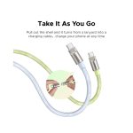 USB კაბელი UGREEN L508 (35500), 60W, Type-C To Type-C PD Fast Charging Lanyard Cable, 1.2m, Green